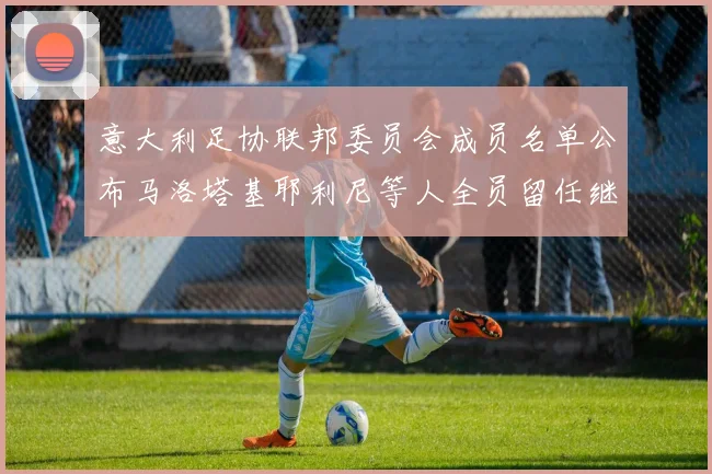 意大利足协联邦委员会成员名单公布马洛塔基耶利尼等人全员留任继续服务
